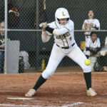 A softball player in white uniform prepares to bunt as the ball approaches, with teammates and a coach watching from the dugout behind a chain-link fence.