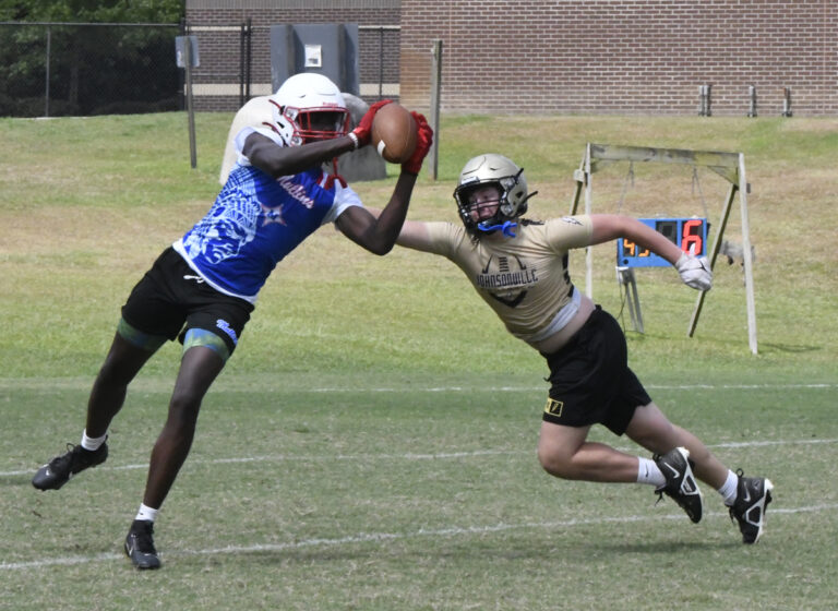 Two football players in helmets and gear, one catching a pass while another tries to defend him on a grassy field during a game or practice.