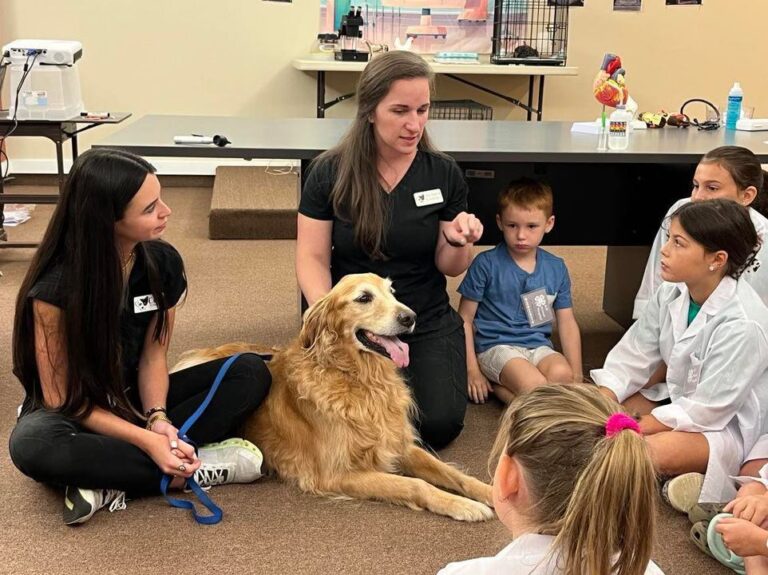Dillon County 4-H Holds Animal and Veterinarian Science Day Camp
