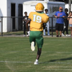 Football player in yellow jersey number 19 running on a grassy field, with spectators and a fence in the background.