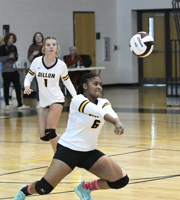 Lady Wildcats Defeat Lady Gators, 3-0