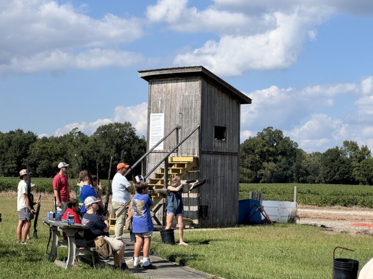 A group of people gather outdoors near a wooden observation tower on a sunny day, with trees, benches, and blue sky in the background.