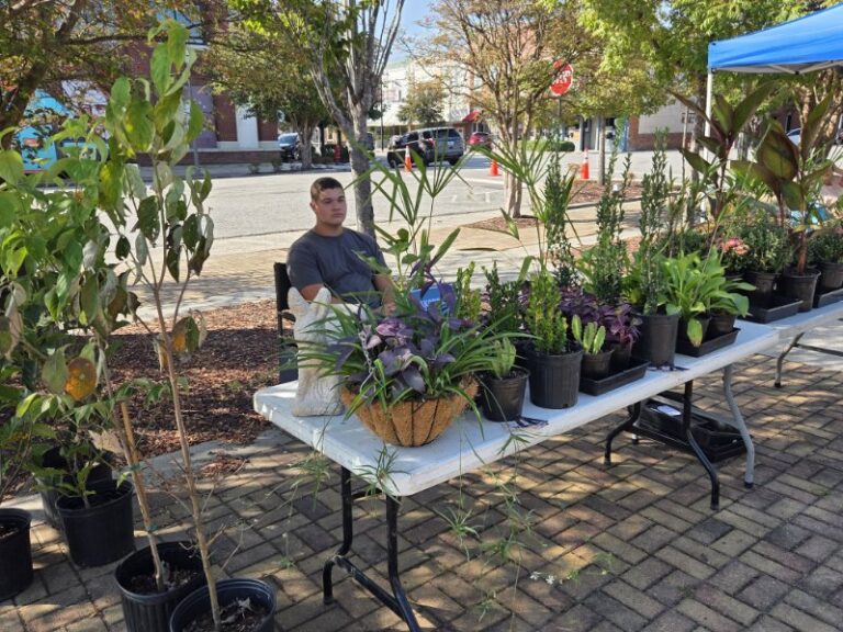 Dillon County Pop-Up Farmers Market Celebrates Grandparents