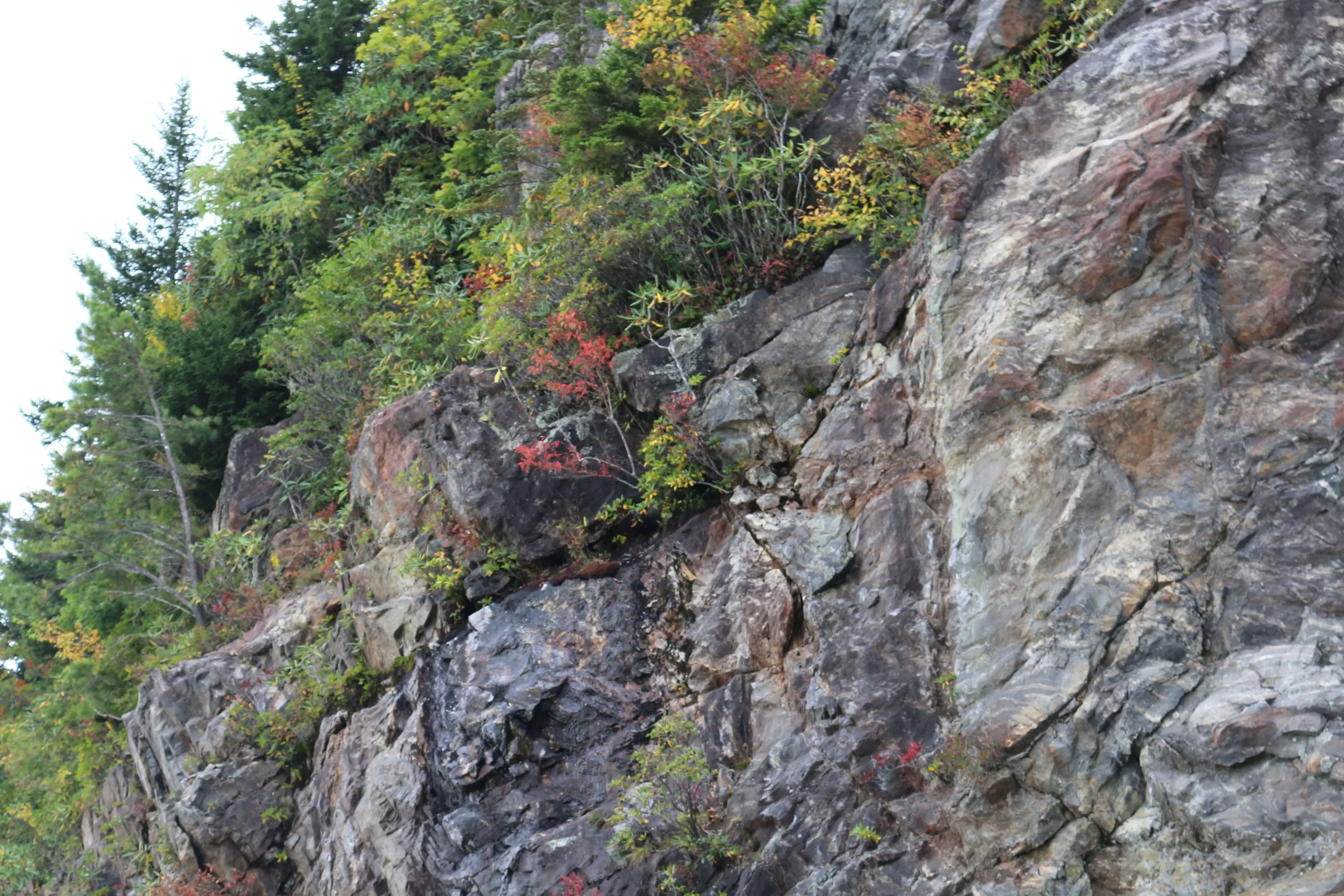 Rocky cliffside with patches of green moss, shrubs, and small trees growing, some leaves turning red, suggesting early autumn foliage.