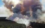 Thick smoke billows from a forest wildfire, with dark clouds rising above green trees and a partially visible road below.