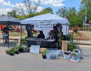 Outdoor market booth with herbal products, potted plants, a sign for candied nuts and drinks, t-shirts hanging, and two people behind the table under a white tent.