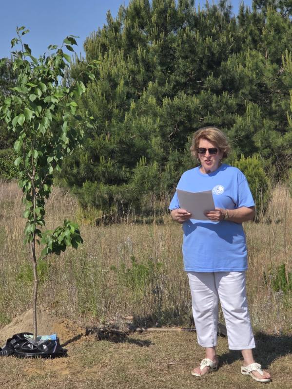 Woman in blue shirt reads from paper next to a newly planted tree in an outdoor grassy area with pine trees in the background.