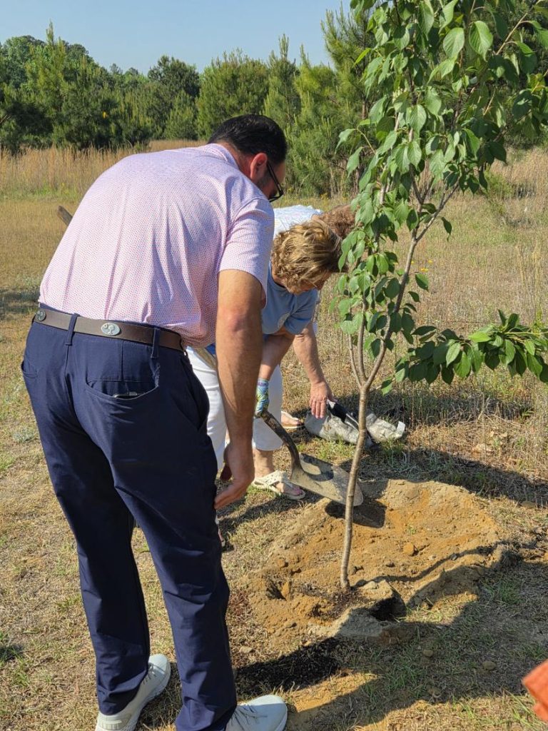 Two people are planting a young tree in a grassy outdoor area, using a shovel to fill the hole with soil.