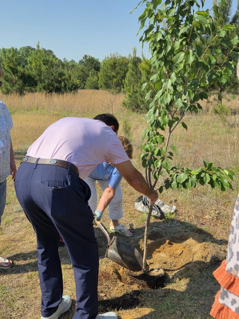 A group of people planting a young tree in a grassy field on a sunny day.