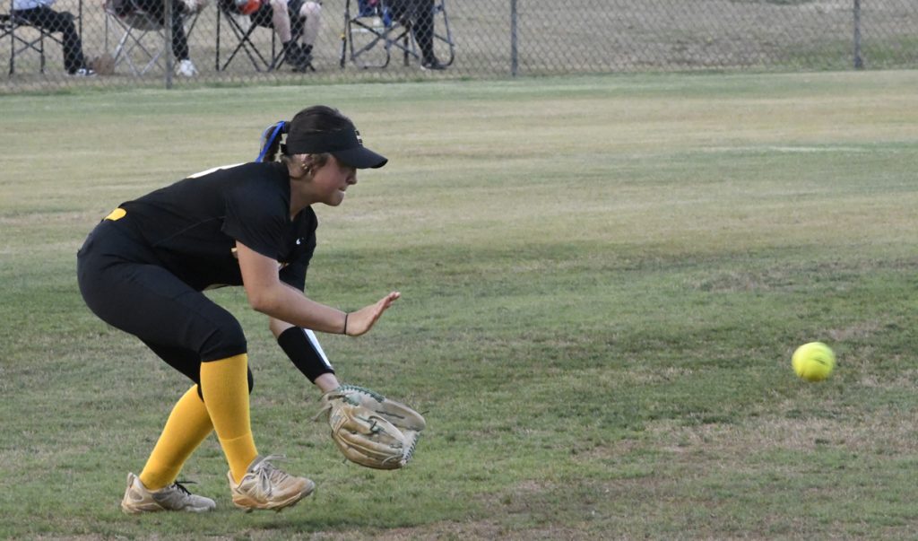 A softball player in black and yellow uniform bends down to field a ground ball on a grassy field, with spectators in the background.