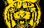 Yellow bobcat head logo with an open mouth, showing teeth, on a black background. The design is bold, graphic, and outlined in black.