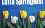 Yellow and white tulips in front of a blue wooden background with the text "Latta Springfest" written at the top.