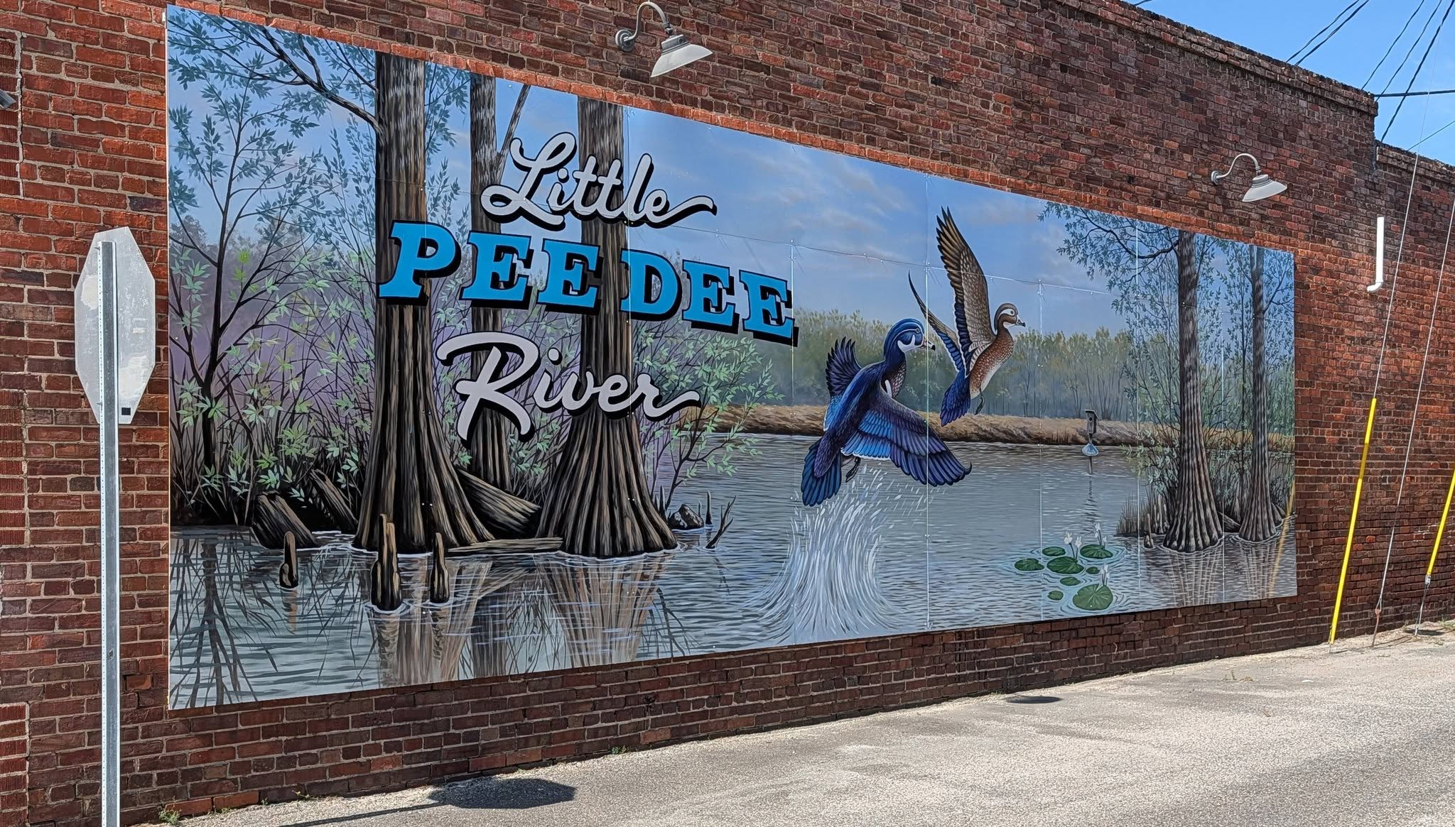 Mural on brick wall depicting trees, water, two flying birds, and text reading "Little Pee Dee River."
