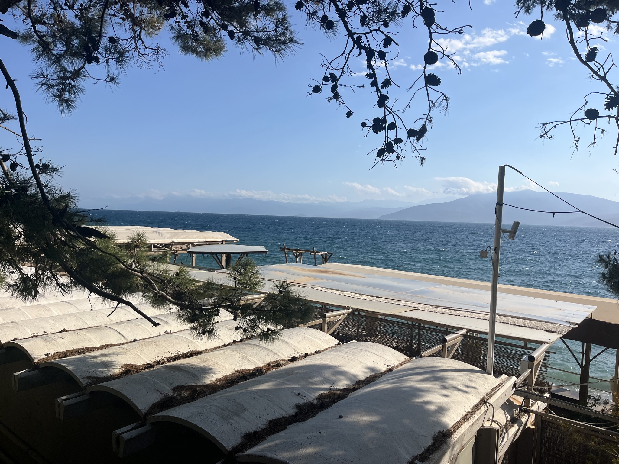 White canopies near a calm sea, mountains in the background, tree branches hanging above, and clear blue sky.