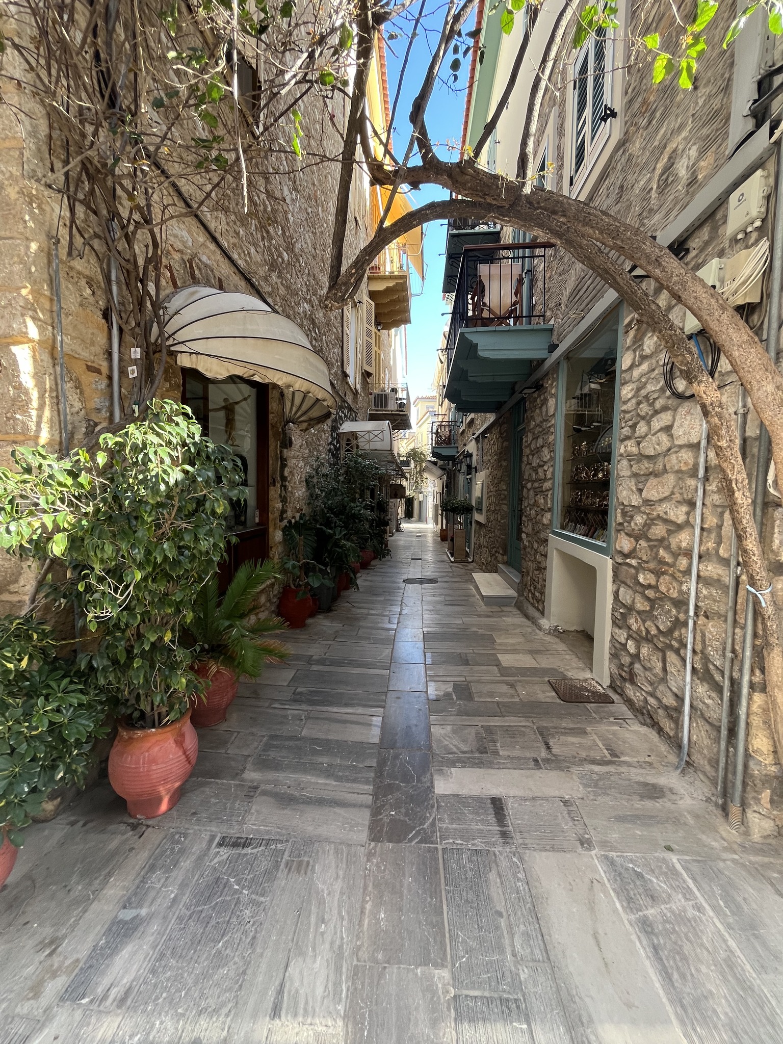 Narrow stone alley with potted plants, rustic walls, and a tree arching overhead in a charming, sunlit Mediterranean village.