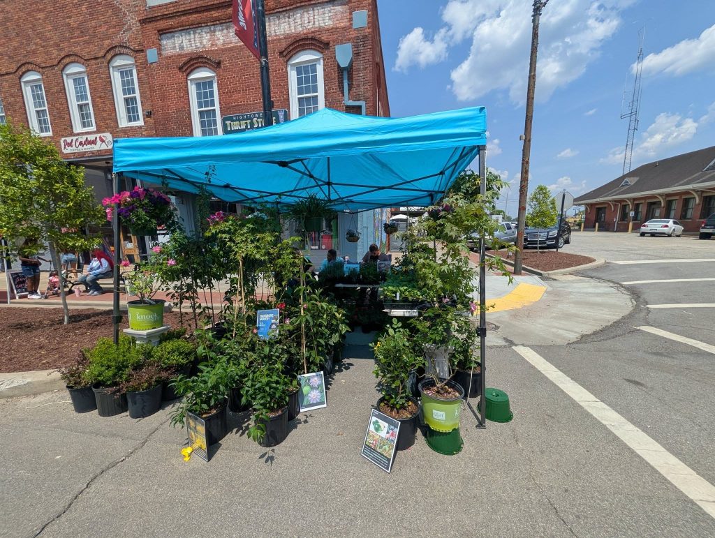 A street market stall with a blue tent displays potted plants and flowers; brick buildings and a few people visible in the background on a sunny day.