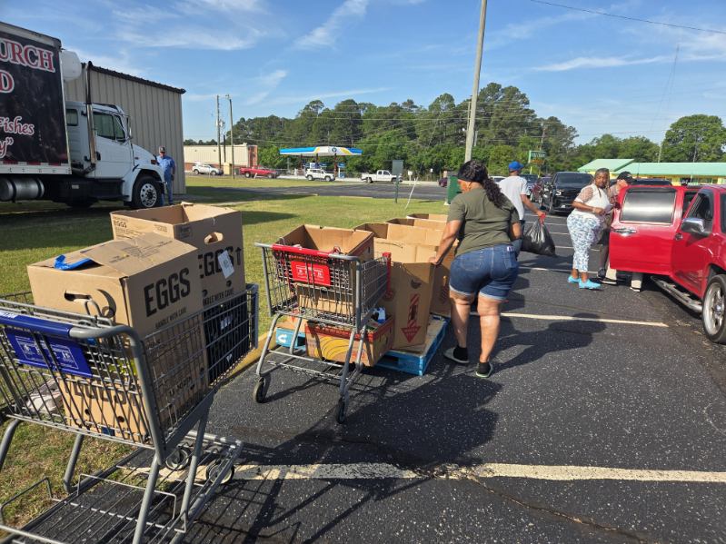 People collecting boxes of food from shopping carts in a parking lot on a sunny day, with a truck and trees in the background.