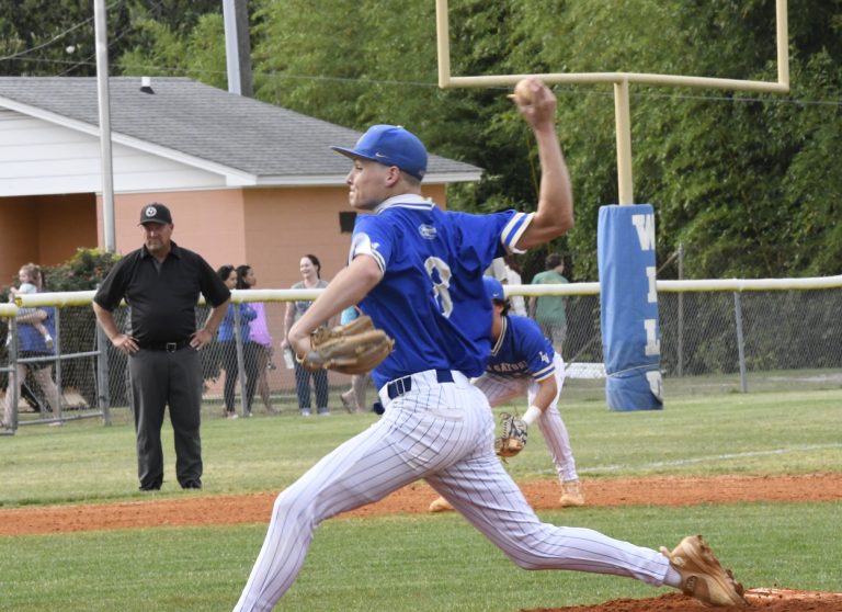 Green Sea Floyds Shuts Out Lake View 2-0