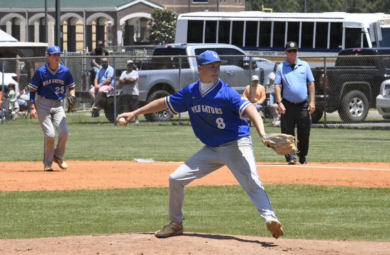 A baseball pitcher in a blue "Wild Gators" uniform is about to throw, with teammates, umpire, and spectators in the background.