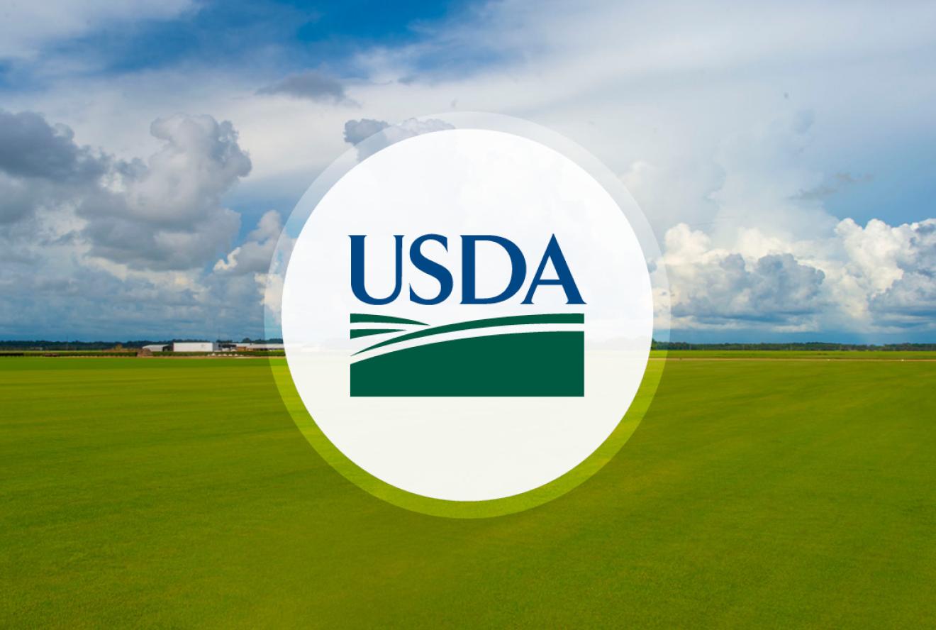 USDA logo overlaid on a green field with a cloudy blue sky in the background.