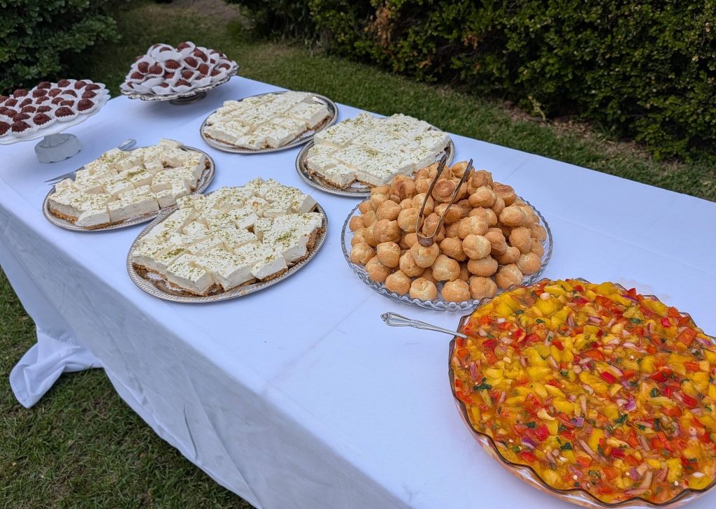 Dessert table outdoors with various sweet treats, including cheesecake squares, cream puffs, chocolate truffles, and a colorful fruit salad in a glass bowl.