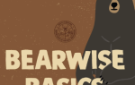 Illustration of a bear standing next to text that reads "Bearwise Basics" on a brown background with a small seal above.