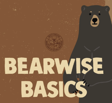 Illustration of a bear standing next to text that reads "Bearwise Basics" on a brown background with a small seal above.
