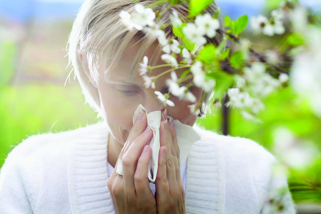 A person outdoors holds a tissue to their nose, appearing to sneeze near blooming white flowers, suggesting seasonal allergies.
