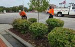 Two workers in orange shirts tending to bushes and landscaping in a parking lot, with a utility truck in the background.