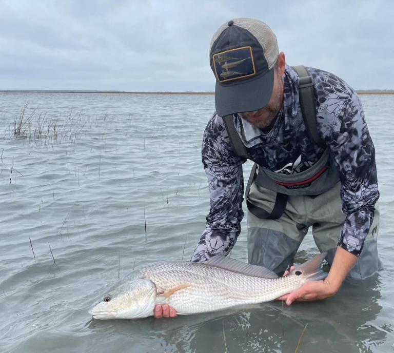 New Red Drum Laws Coming Soon