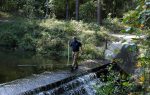 A person stands on a small concrete dam holding a stick, surrounded by flowing water and dense trees in a forested area.