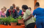 A group of people gathers around a table with potted plants, engaging in a hands-on gardening activity indoors.