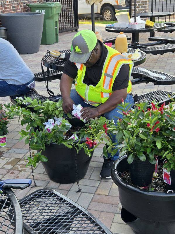 A worker in a safety vest and cap tends to potted plants outdoors, arranging or planting flowers near metal benches on a paved surface.