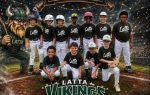 A youth baseball team poses on a field for an All Star Game poster, featuring "Latta Vikings" logo and a Viking mascot, with a stadium crowd in the background.