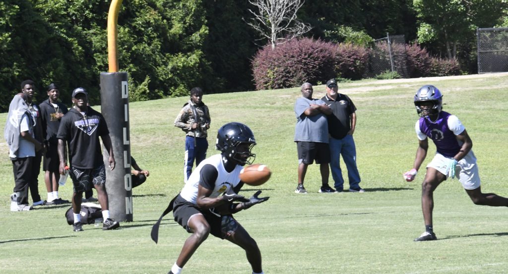 A football player wearing a helmet and gloves catches a football on a grassy field, with several spectators and trees in the background.