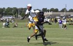 Two youth football players jump to catch a pass during a game on a grassy field, with other players and spectators in the background.