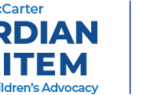 Partial blue logo with bold text reading "DIAN TEM" and smaller text above and below, partially cut off. Vertical blue line on the right side.