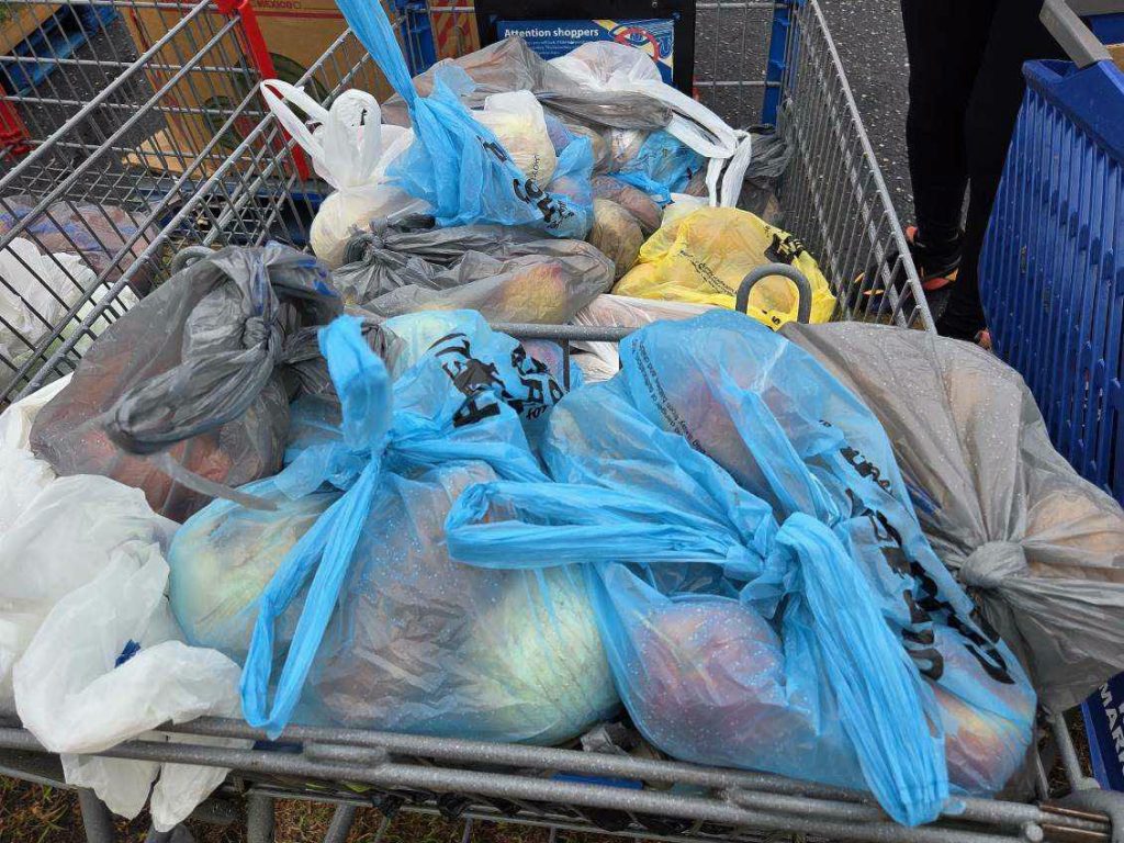 A shopping cart filled with plastic bags containing groceries, with some bags blue, gray, yellow, and white, outdoors in a parking lot.