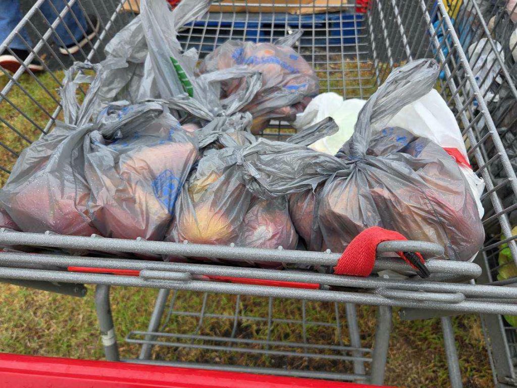 Plastic bags filled with groceries, mainly fruits, are placed inside a shopping cart outdoors.