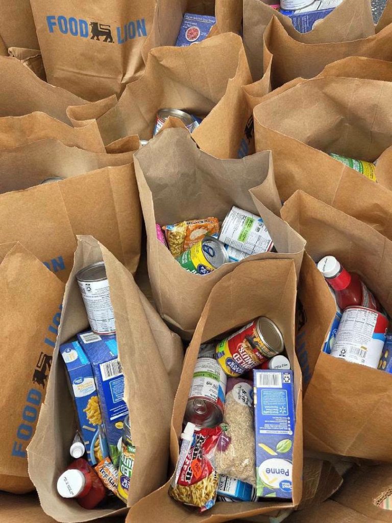 Brown Food Lion grocery bags filled with assorted canned goods, pasta, rice, beverages, and packaged food items, arranged closely together.