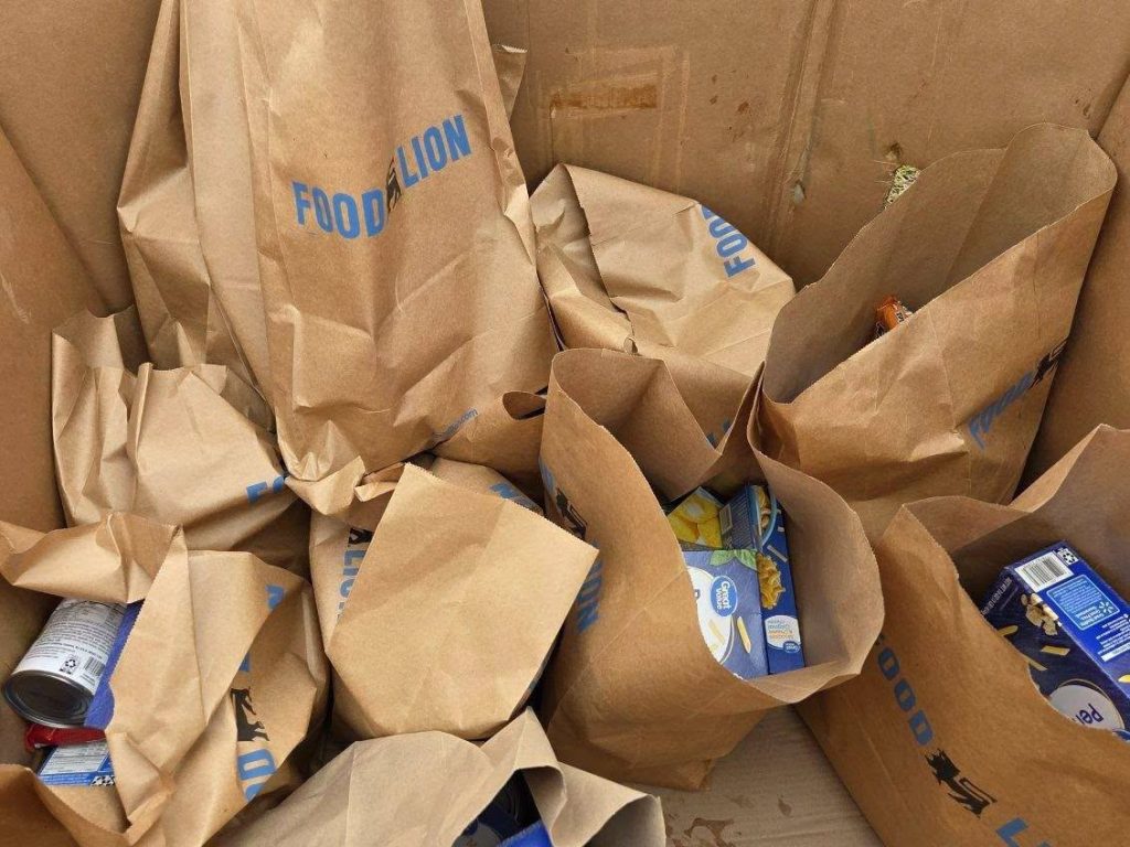 Several brown paper grocery bags labeled "Food Lion" are filled with canned goods and boxed food items inside a cardboard box.
