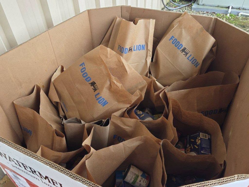Large cardboard bin filled with brown paper grocery bags labeled "Food Lion," containing canned goods and boxed food items.