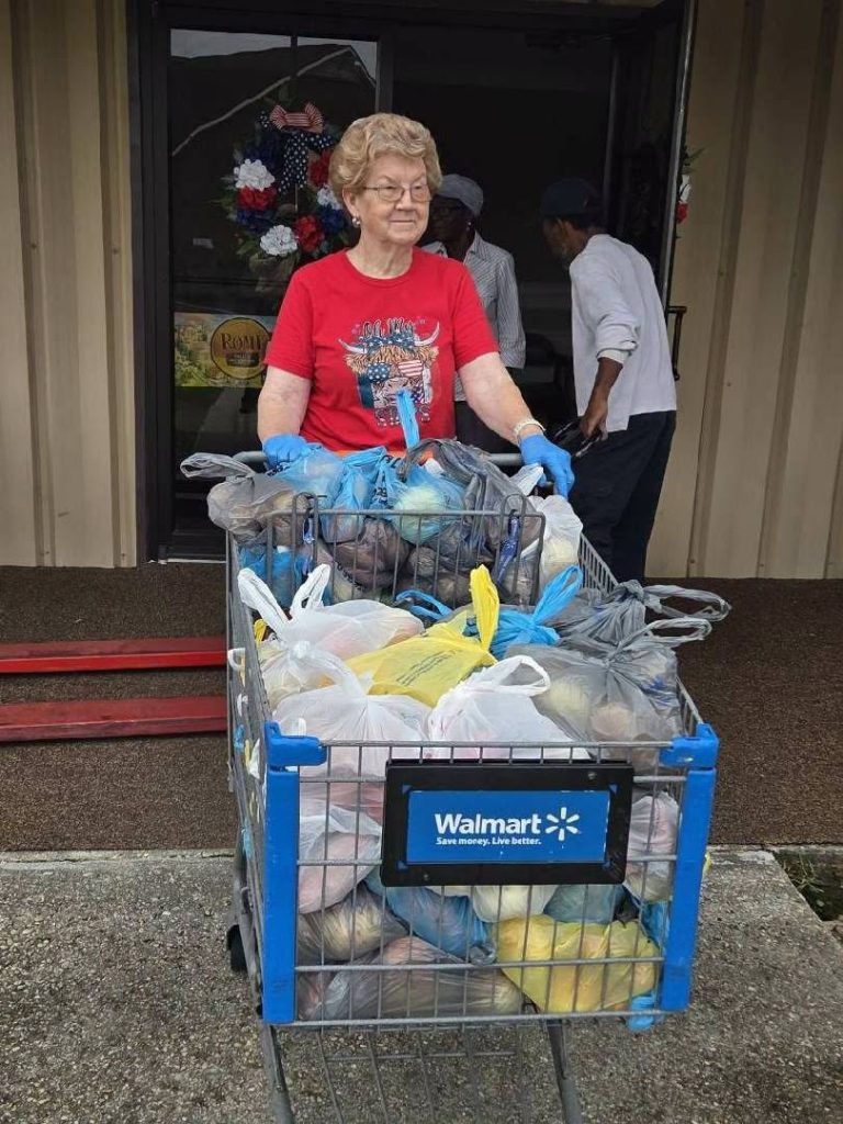 Elderly woman in a red shirt pushes a Walmart shopping cart filled with grocery bags, standing outside a building.