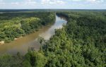 A wide river winding through dense green forest under a partly cloudy sky, viewed from above.