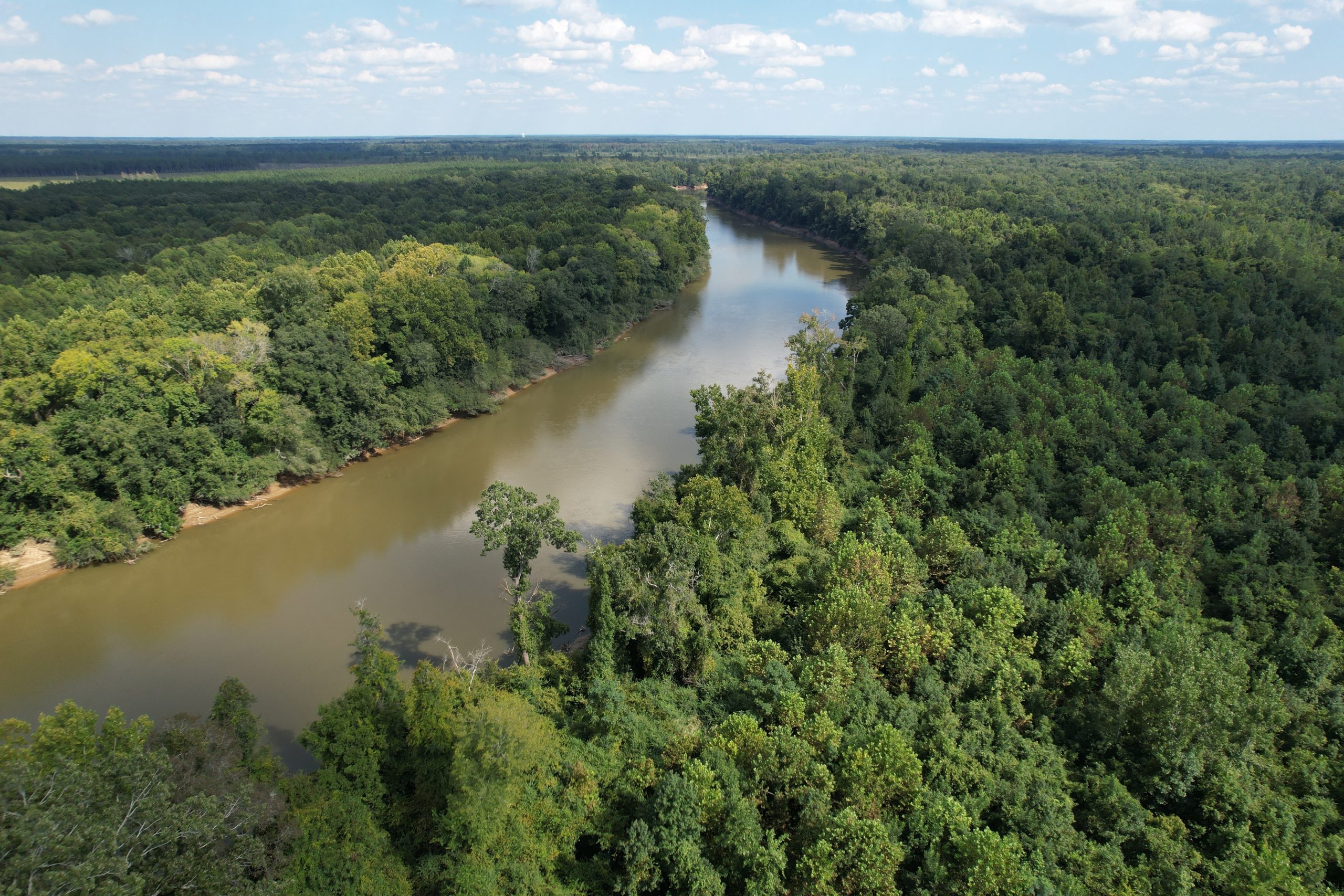 A wide river winding through dense green forest under a partly cloudy sky, viewed from above.