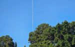 A helicopter hovers above tall green trees, carrying a long pole or cable against a clear blue sky.