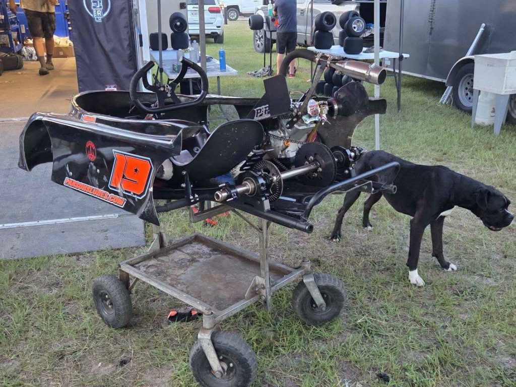 A go-kart with number 19 is mounted on a stand outdoors, with a black dog standing nearby and race equipment visible in the background.