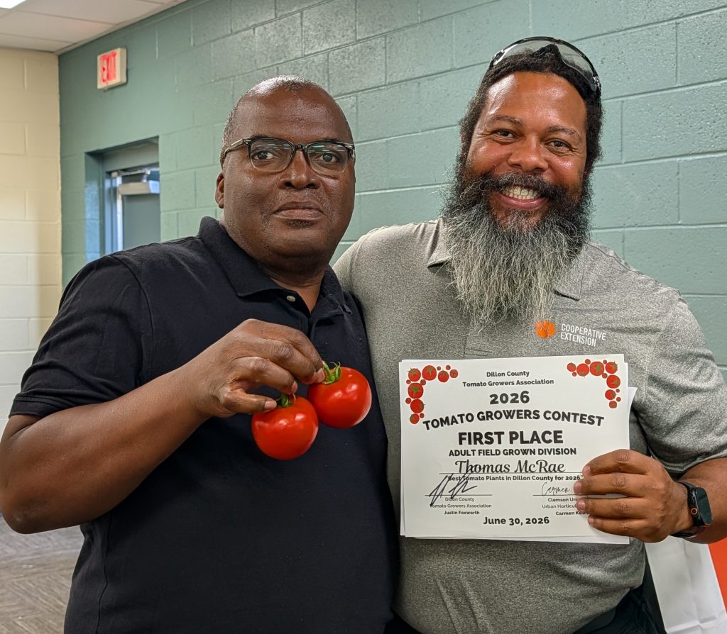 Two men smiling, one holding ripe tomatoes, the other displaying a "Tomato Growers Contest 2026 First Place" certificate in a casual indoor setting.