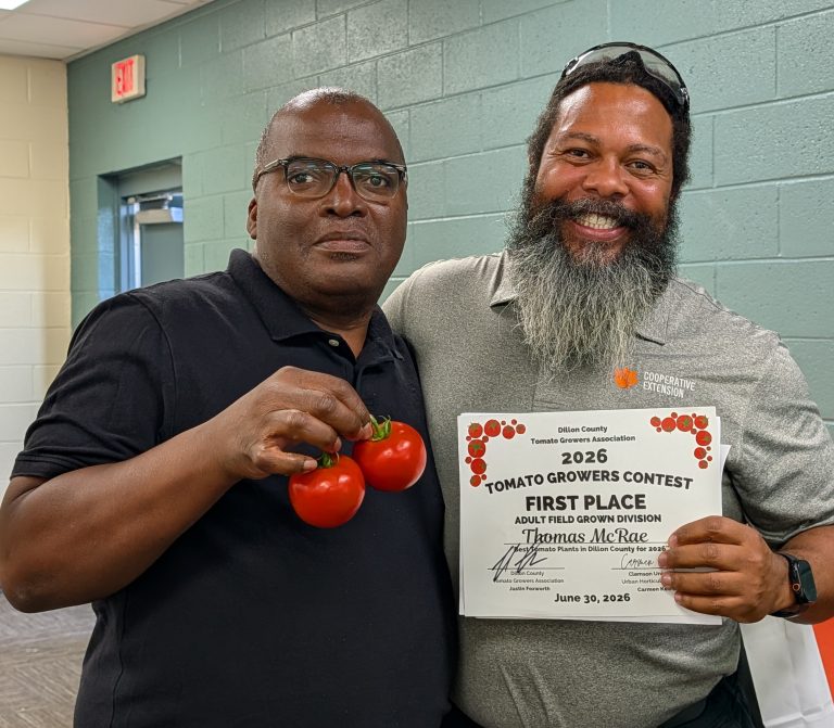 The Comeback King: Thomas McRae Clinches The Victory In Dillon County Tomato Contest Field Grown Division While A Grandmother and Grandson Take The Top Spots In Other Categories