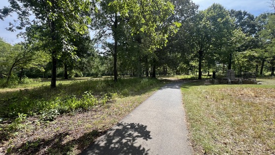 A paved pathway curves through a sunny, wooded park area with grass, trees, and light shadows on the ground.